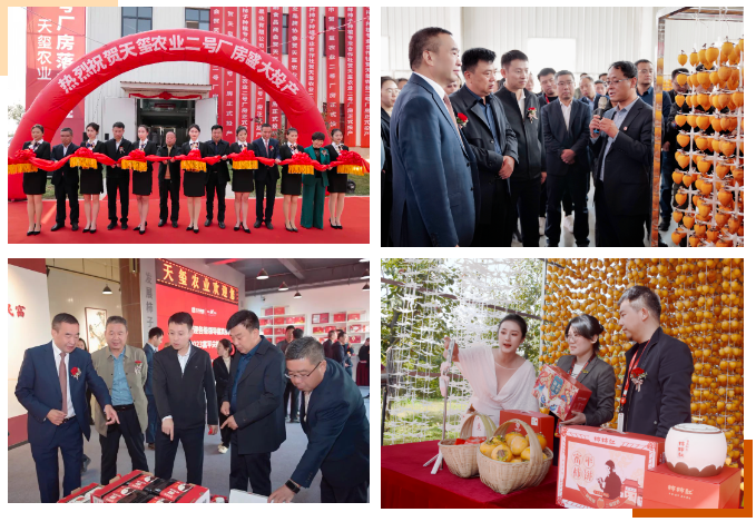 1699843789105599.png image.png