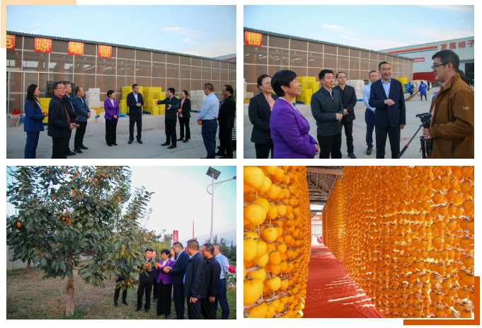 1699843846139362.png image.png