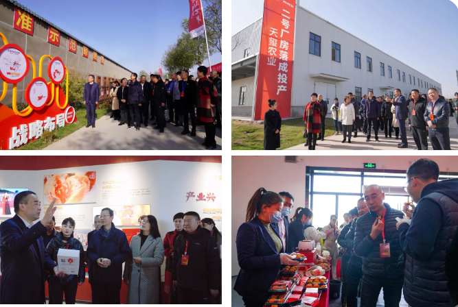 1701670439137671.png image.png