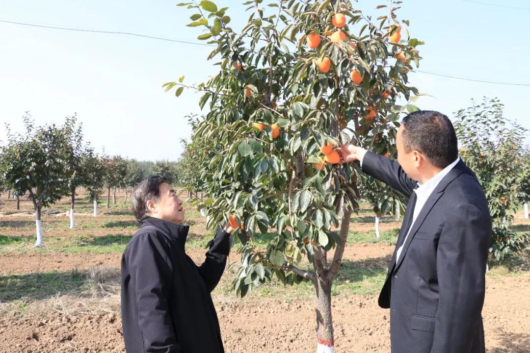 5dbfe26c06fc8.jpg 5dbfe26c06fc8.jpg