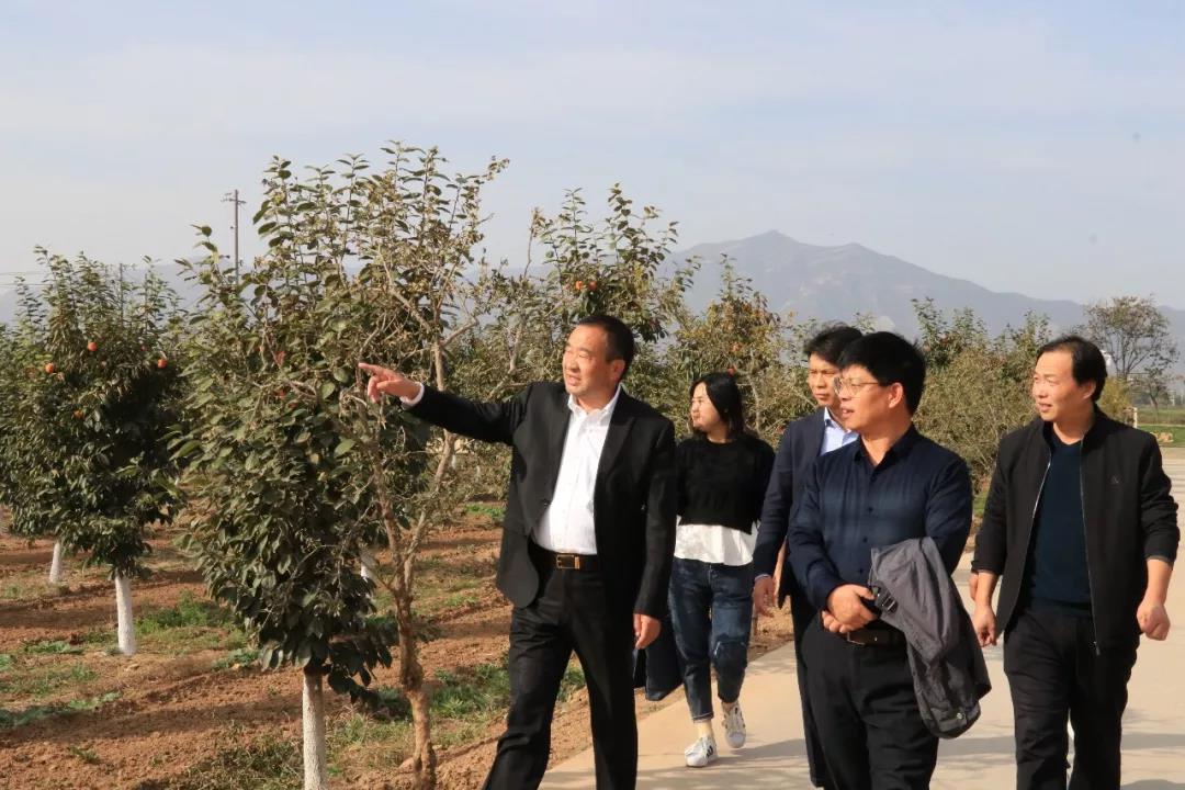 5dbfe2bb82836.jpg 5dbfe2bb82836.jpg