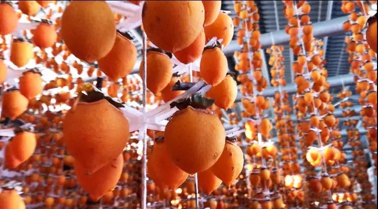 5dd73beec76b7.jpg 5dd73beec76b7.jpg