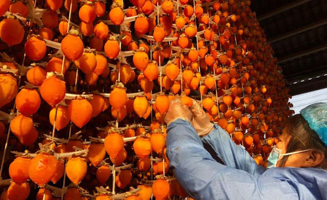 5dd73c546b541.jpg 5dd73c546b541.jpg