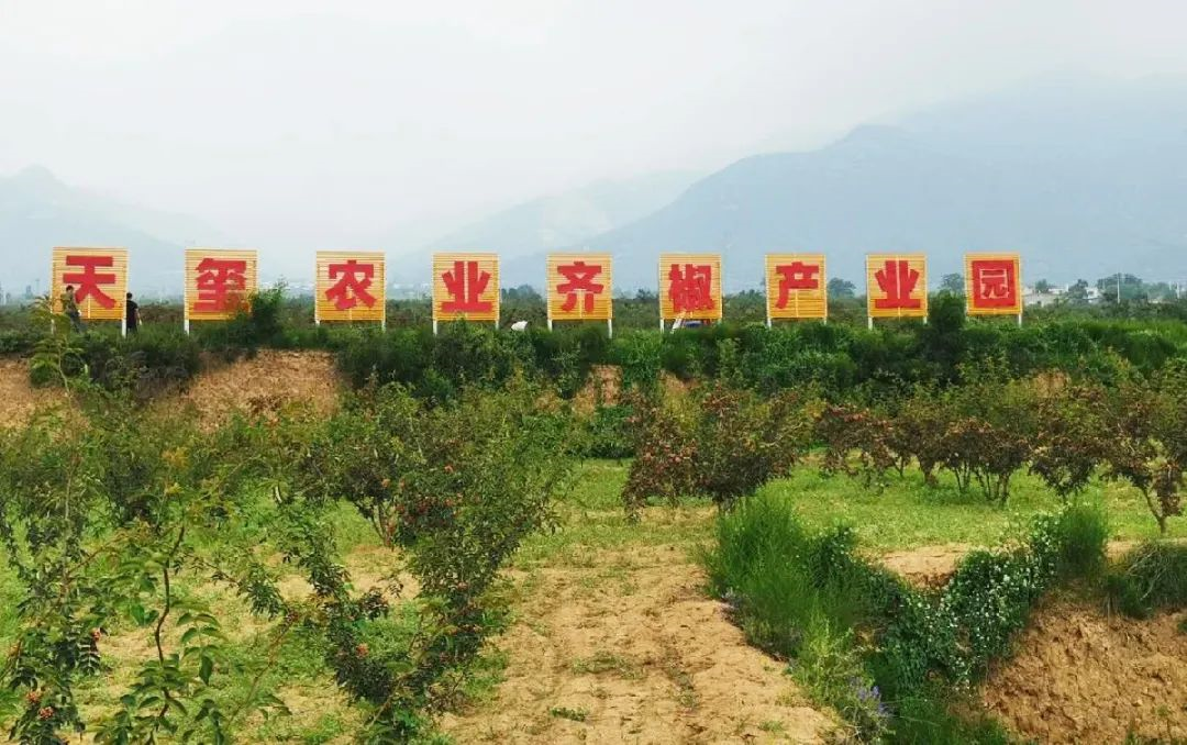 5f3e1732a7724.png image.png