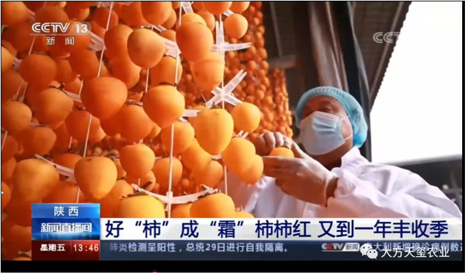 5f9cb498a2970.png image.png