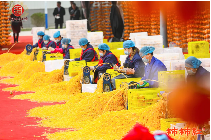 5f9cb4e72267d.png image.png