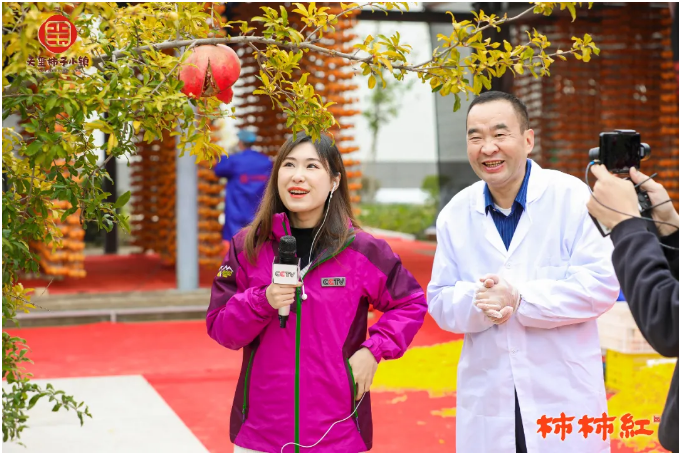 5f9cb64b2cfeb.png image.png