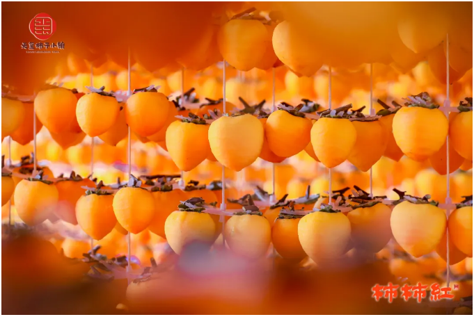 5f9cb6a2299d7.png image.png