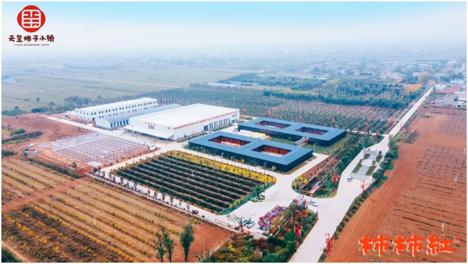 5f9cb7892e04c.png image.png