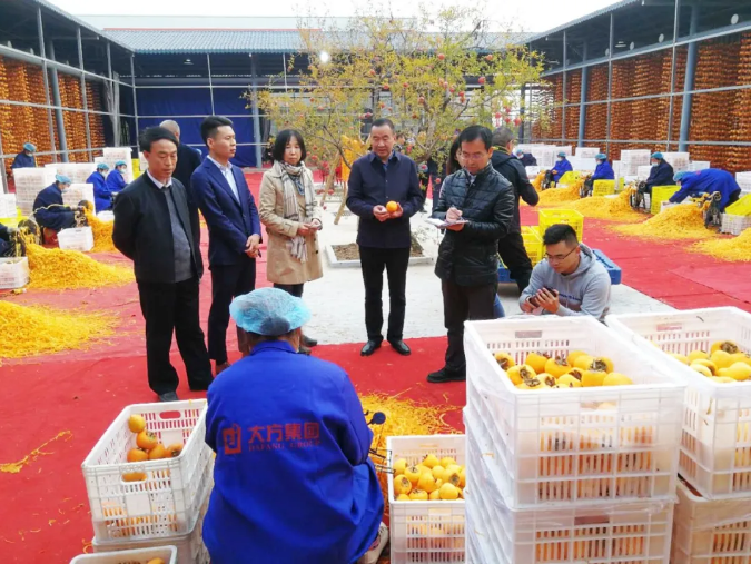 5fa2672261753.png image.png