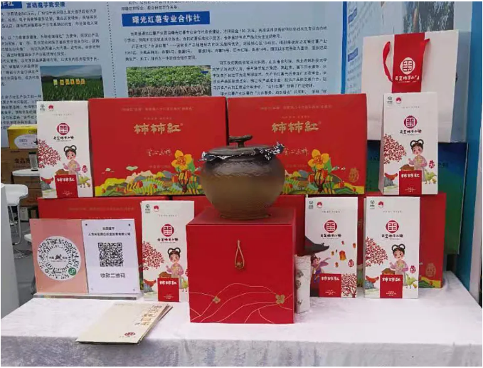 5fd72cf21a83f.png image.png