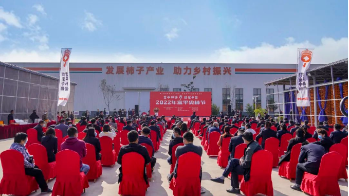 63631871c0151.png image.png